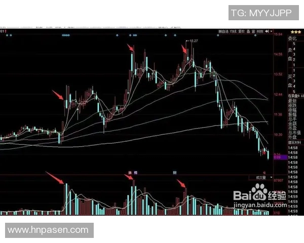 今日辽宁对阵浙江精彩直播全程回顾与赛后分析尽在这里